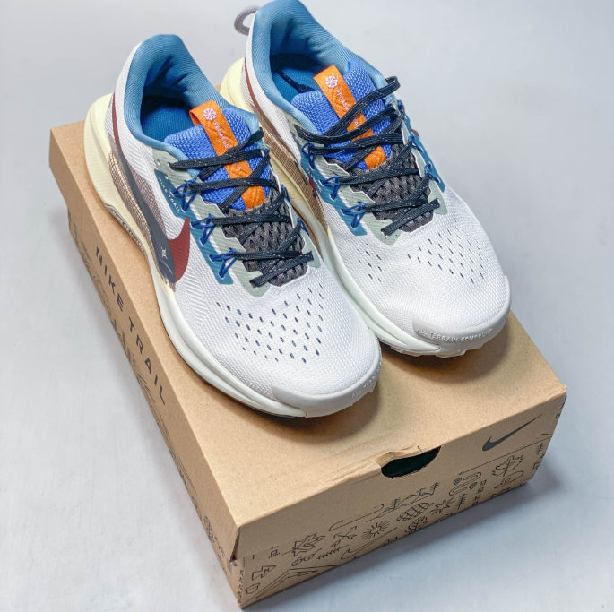 Nike Pegasus Trail 5 White/Blue/Dark Wine DV3864