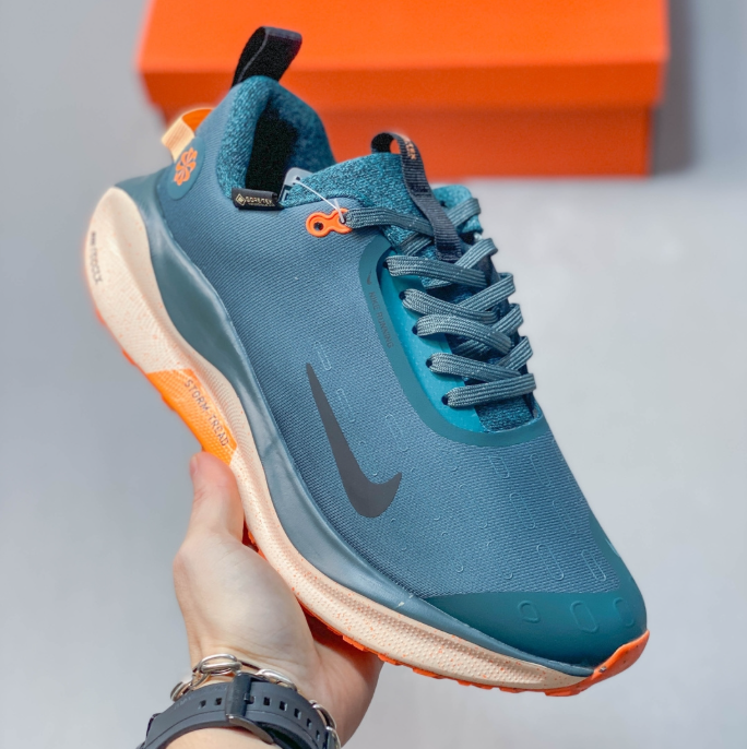 Nike ReactX Infinity Run 4 GORE-TEX  Armory Navy FB2204-300