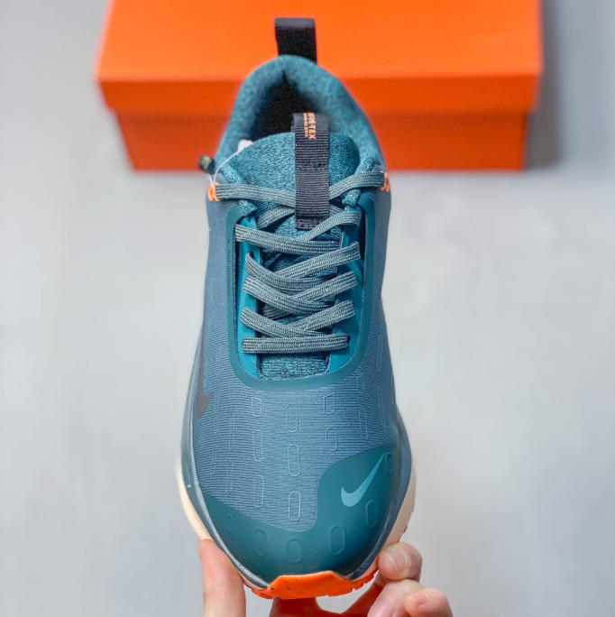 Nike ReactX Infinity Run 4 GORE-TEX  Armory Navy FB2204-300